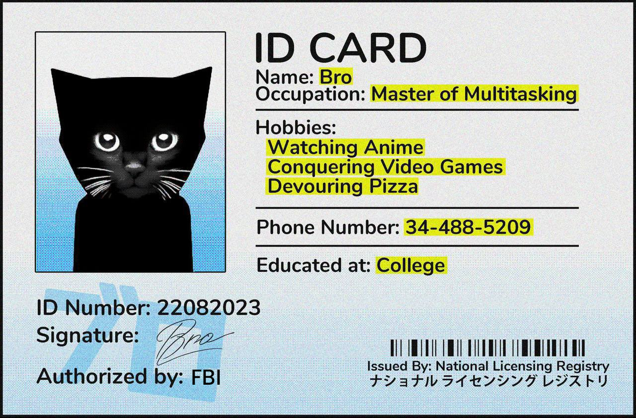 Bro The Cat