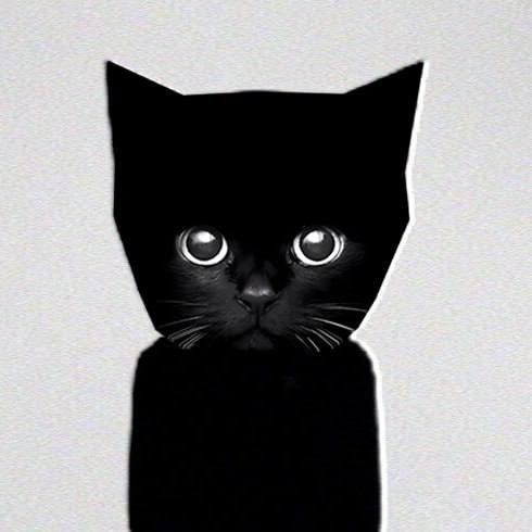 Bro The Cat